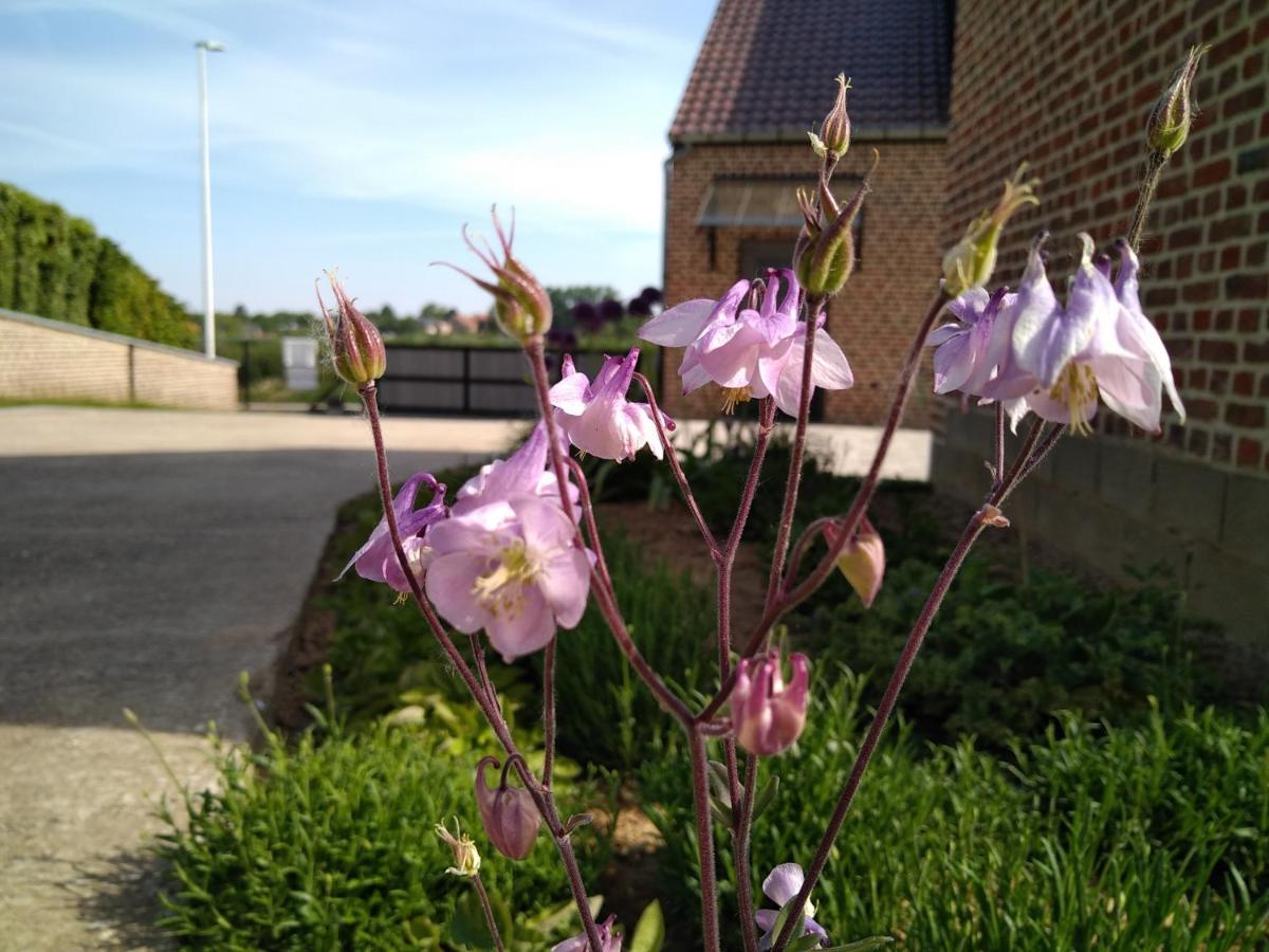 Vakantiewoning Mierzicht Met Prive Wellness Haspengouw Boekhout Exterior foto